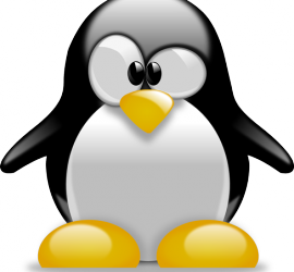 linux_1